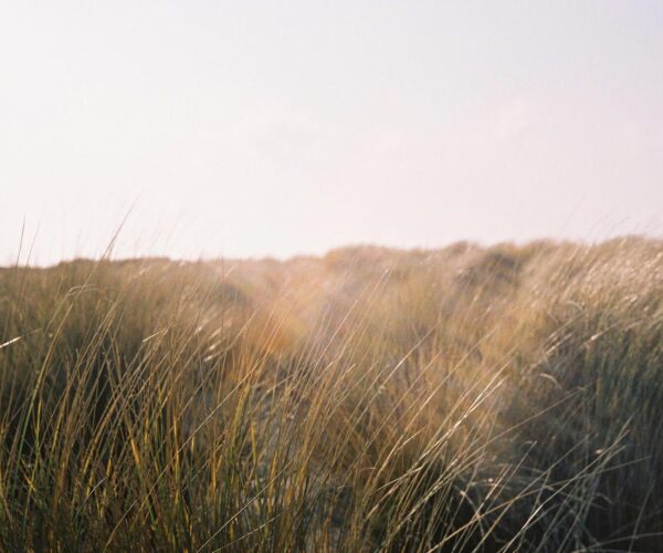 La Gestione della Rabbia