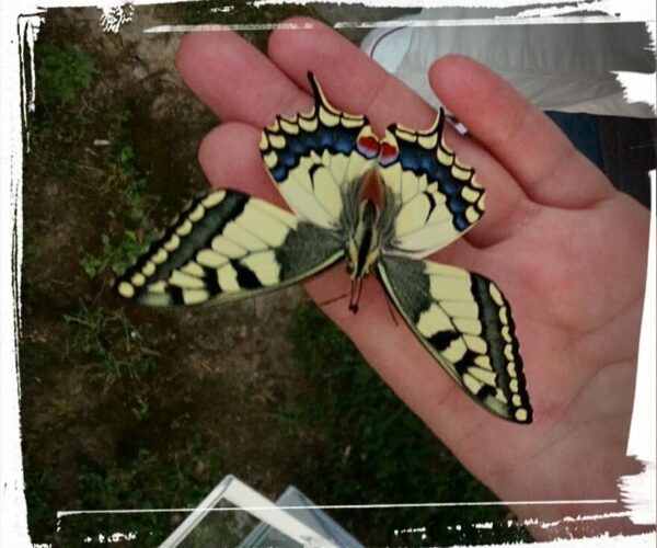 Come migliorare la vita o gestire un nuovo inizio: Flourishing