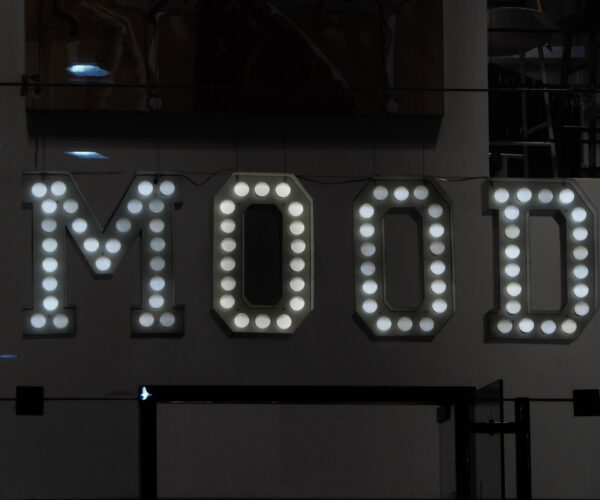 Intelligenza Emotiva: Quattro Domande per Migliorarla