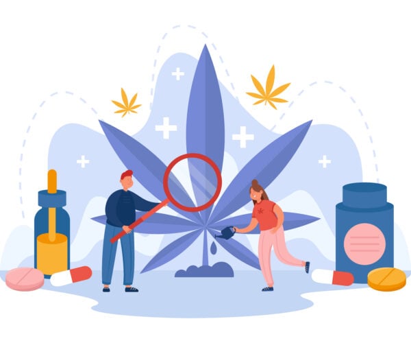 Uso responsabile della cannabis: 10 linee guida per ridurre i rischi